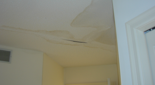 How To Repair Water Damaged Ceilings Eclecticesoteric